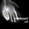 Taproot – Gift