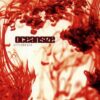 Oceansize – Effloresce