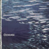 The Ocean – Fluxion