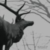 Agalloch – The Mantle