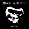 Such A Surge – Alpha