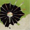Landing – Sphere