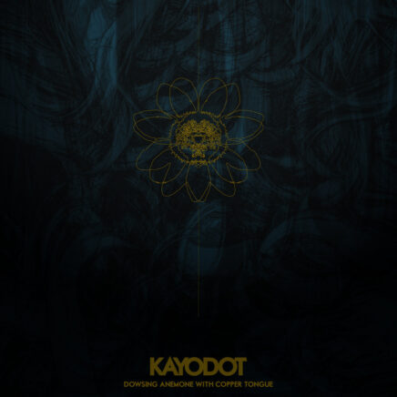 kayo-dot-dowsing-anemone-with-copper-tongue