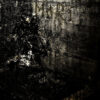 Blut Aus Nord – Mort