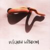 Wicked Wisdom – Wicked Wisdom
