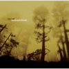 Basement – Everything Gets Distorted