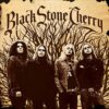 Black Stone Cherry – Black Stone Cherry