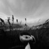 Time To Burn – Is.Land