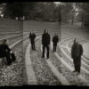 Daylight Dies