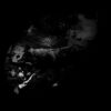 October Falls – The Womb of Primordial Nature