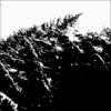 One Second Riot – One Second Riot