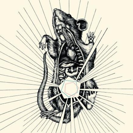 capricorns-river-bear-your-bones