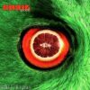 Snail  – Blood
