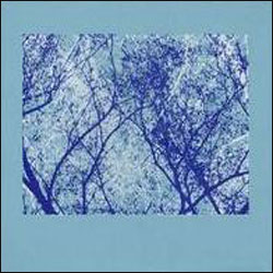Steven R. Smith – Owl