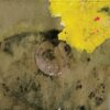 Madlib – Medicine Show n°3 – Beat Konducta in Africa