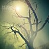 Rwake – Rest
