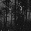 In Desperation – S/T