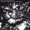 Royal Mc Bee Corporation / 400 The Cat – 17 Avril 2012 @ Up&rsquo;n&rsquo;Down (Montpellier)