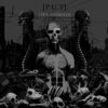 Interview de [P.U.T.] – Like Animals
