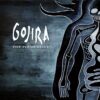 Gojira – The Flesh Alive (Bluray/CD)