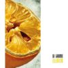 Forgotten Silence – La Grand Bouffe
