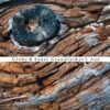 Globe And Beast – Grandfather&rsquo;s Axe