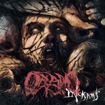 oceano-incisions
