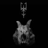 Worsen – Blood