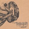 Tellusian – Collision