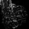 Vermin Womb – Permanence