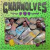 Gnarwolves – S/T