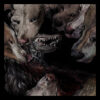 Okkultokrati – Night Jerks