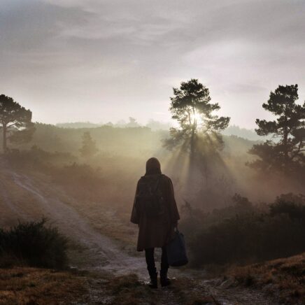 esben-and-the-witch-a-new-nature