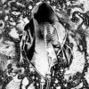Antagonist A.D. – Haunt Me As I Roam