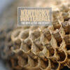 Kentucky Waterfall – The Hive & The Architect