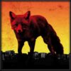 Prodigy – The Day is My Enemy