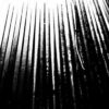 The Crinn – Shadowbreather