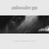 Ambassador Gun – Tomb Of Broken Sleep