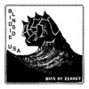 Blindside USA – Wave Of Regret