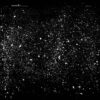 Mamiffer – The World Unseen