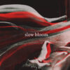 Slow Bloom – S/T