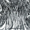 Sycomore – Phantom Wax