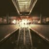 Disperse – Foreword
