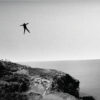 Graceful – No One Hears Us