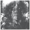 Rotting Sky – Sedation