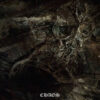 Widespread Disease – Chaos