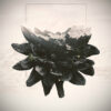 Eternal Void – Catharsis