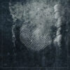 Cove – A Conscious Motion