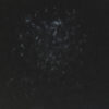 Krvvla – Ø