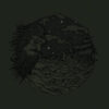Boar – Poseidon